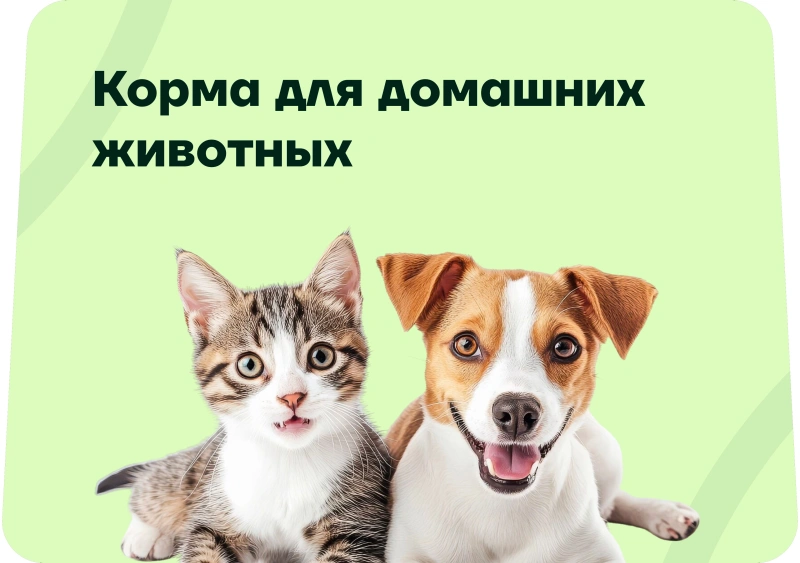 Корма