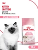 фото 14