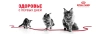 фото 18