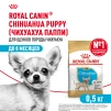 фото 1