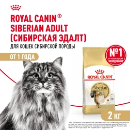 Сухой Корм Royal Canin SIBERIAN (САЙБЕРИАН)Специальное питание для кошек сибирской породы, в возрасте от 1 года и старше, 2 кг