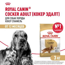 Сухой корм Royal Canin Cocker Adult для собак породы кокер-спаниель, 3 кг