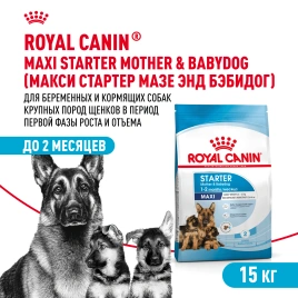 Сухой корм Royal Canin Maxi Starter Mother & Babydog для собак, 15 кг