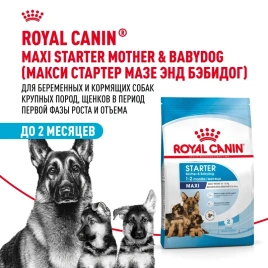 Сухой корм Royal Canin Maxi Starter для щенков крупных пород в период отъема до 2 - месячного возраста, беременных и кормящих сук - 18 кг