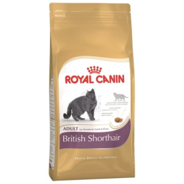Royal Canin British Shorthair Adult - 13 кг