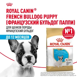 Сухой корм Royal Canin French Bulldog Puppy для щенков, 10 кг