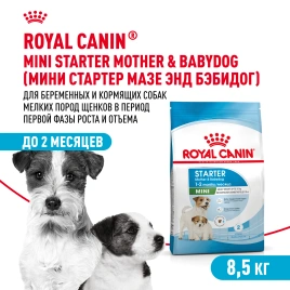 Сухой корм Royal Canin Mini Starter Mother & Babydog для щенков и кормящих сук, 8.5 кг