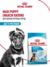 Сухой корм Royal Canin Maxi Puppy для щенков крупных пород, 20 кг