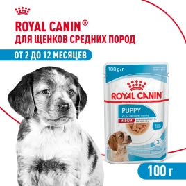 Влажный корм Royal Canin Medium Puppy для щенков средних пород в соусе, 100 г