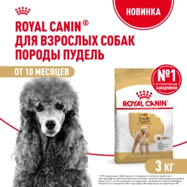 Сухой корм Royal Canin Poodle Adult для взрослых собак, 3 кг