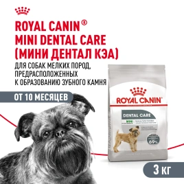 Сухой корм Royal Canin Mini Dental Care для собак, 3 кг