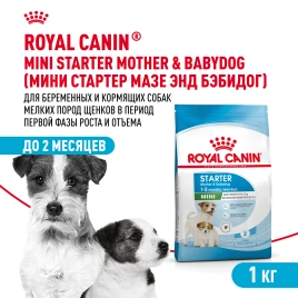 Сухой корм Royal Canin Mini Starter Mother & Babydog для щенков и кормящих сук, 3 кг