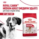 Сухой корм Royal Canin Medium Adult PRO для собак средних пород, 20 кг