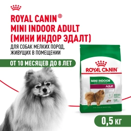 Сухой корм Royal Canin Mini Indoor Adult для собак, 500 г