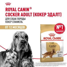 Сухой корм Royal Canin Cocker Adult для собак породы кокер-спаниель, 3 кг