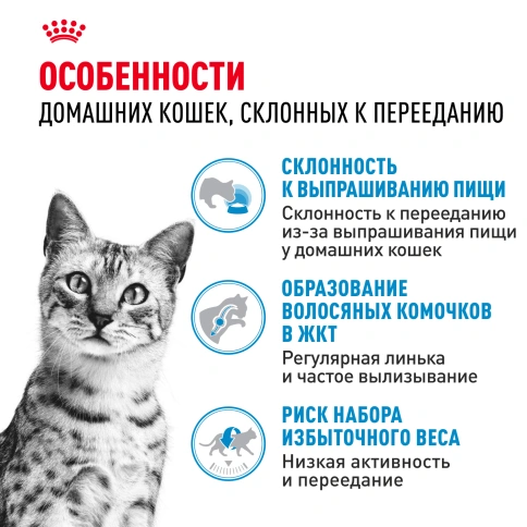 Сухой Корм Royal Canin INDOOR APPETITE CONTROL (ИНДОР АПЕТАЙТ КОНТРОЛ)Питание для кошек, склонных к перееданию, живущих в помещении, в возрасте от 1 года до 7 лет, 2 кг фото 2