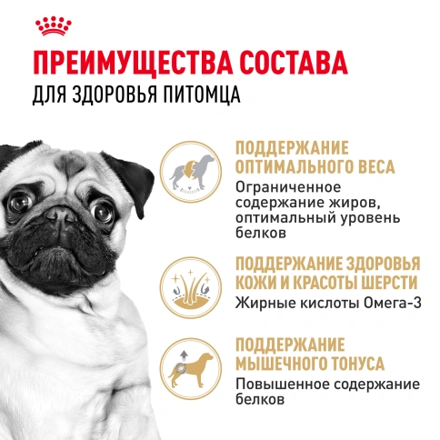 Сухой корм Royal Canin Pug Adult для взрослых собак, 7.5 кг фото 3