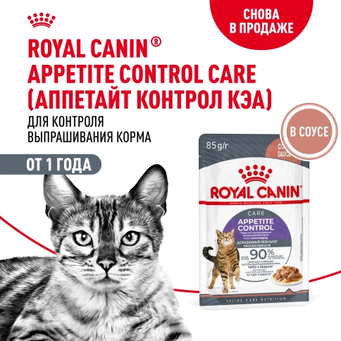 Влажный корм Royal Canin Appetite Control Care в соусе для взрослых кошек, для контроля выпрашивания корма, пауч, 85 г фото 13