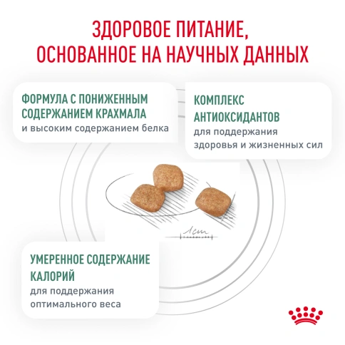 Сухой Корм Royal Canin  DIABETIC ДИЕТА ДЛЯ КОШЕК ПРИ ДИАБЕТЕ, 1.5 кг фото 8