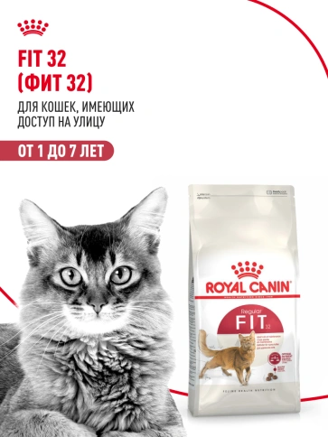 Сухой Корм Royal Canin FIT (ФИТ)Питание для кошек с умеренной активностью, имеющих доступ на улицу, в возрасте от 1 года до 7 лет, 4 кг фото 13