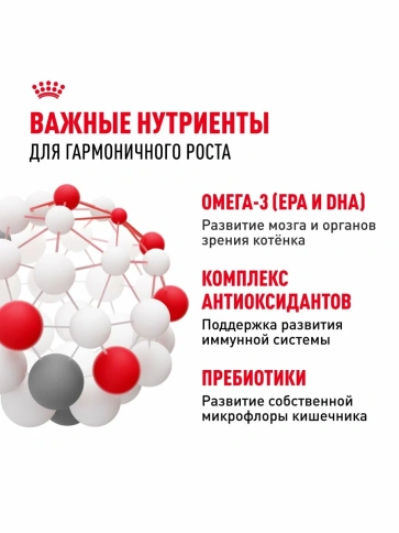 Сухой корм Royal Canin Kitten для котят от 4 до 12 месяцев, с птицей, 10 кг фото 5