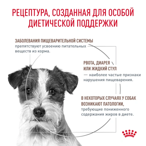 Сухой корм Royal Canin Gastrointestinal Low Fat Small Dogs для собак, 1.5 кг фото 2