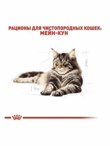 Сухой корм Royal Canin Maine Coon Adult для взрослых кошек породы мейн-кун, 13 кг фото 3