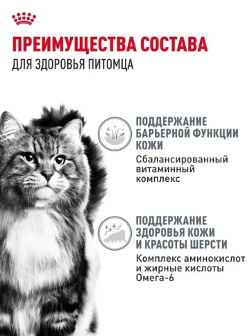 Влажный корм Royal Canin Hair & Skin Care в желе для взрослых кошек, для здоровья кожи и шерсти, пауч, 85 г фото 3