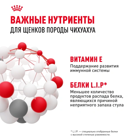 Сухой корм Royal Canin Chihuahua Puppy для щенков породы чихуахуа, 1.5 кг фото 6