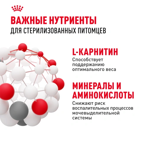Сухой Корм Royal Canin STERILISED (СТЕРИЛАЙЗД)Питание для кастрированных котов и стерилизованных кошек в возрасте от 1 года до 7 лет; поддерживает оптимальный вес, снижает риск заболеваний мочевыводящих путей фото 5