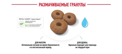 Сухой корм Royal Canin Maxi Starter Mother & Babydog для собак, 4 кг фото 3