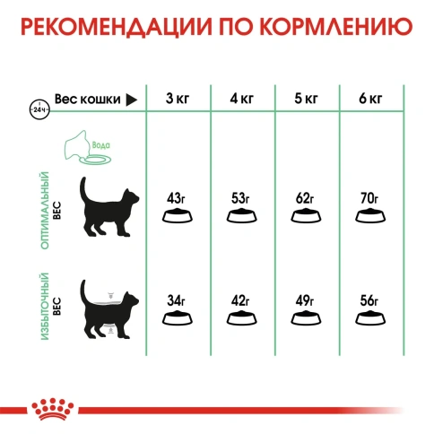 Сухой корм Royal Canin Digestive Care для взрослых кошек при расстройствах пищеварительной системы, 4 кг фото 5