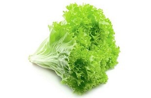 Лист Салатный пучок фото 3