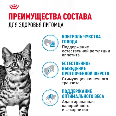 Сухой Корм Royal Canin INDOOR APPETITE CONTROL (ИНДОР АПЕТАЙТ КОНТРОЛ)Питание для кошек, склонных к перееданию, живущих в помещении, в возрасте от 1 года до 7 лет, 2 кг фото 3
