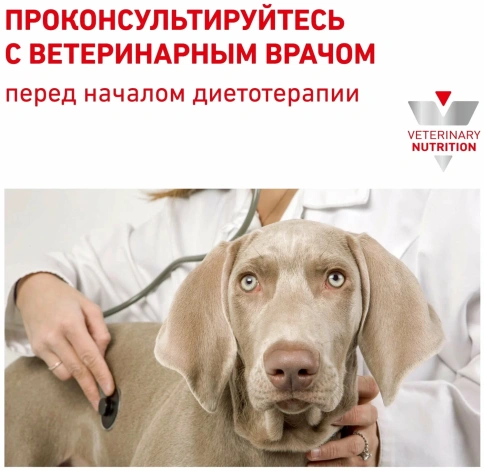 Диетический влажный корм Royal Canin Recovery для собак и кошек в период восстановления, мусс, банка, 195 г фото 2