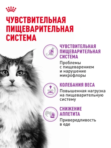 Сухой Корм Royal Canin SЕNSIBLE (СЕНСИБЛ)Питание для кошек в возрасте от 1 года до 7 лет с чувствительной пищеварительной системой, 4 кг фото 17