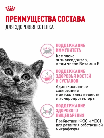 Сухой корм Royal Canin British Shorthair Kitten для котят породы британская короткошерстная, 400 г фото 3