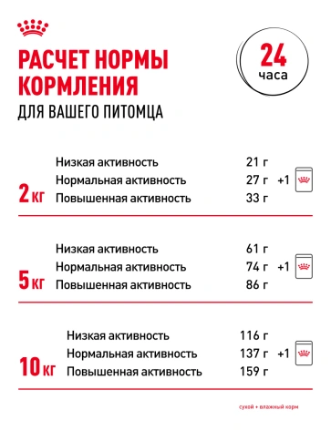 Сухой корм Royal Canin Mini Adult для взрослых собак, 2 кг фото 23