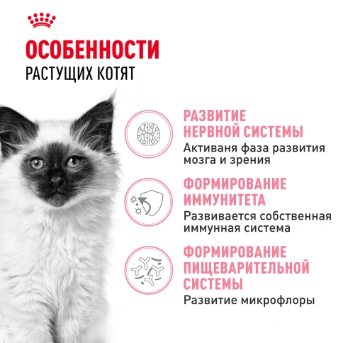 Сухой корм Royal Canin Kitten для котят, 1.2 кг фото 2