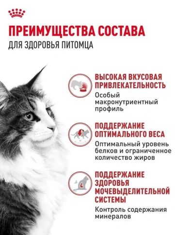 Влажный корм Royal Canin Instinctive в соусе для взрослых кошек, пауч, 85 г х 28 шт фото 3