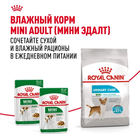 Сухой корм Royal Canin Mini Urinary Care для собак, 1 кг фото 8
