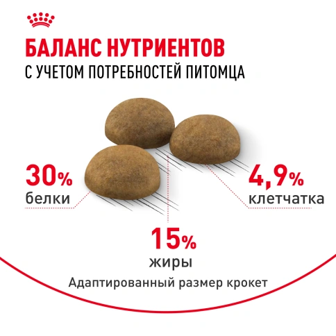 Сухой корм Royal Canin Indoor Long Hair для кошек, 10 кг фото 4