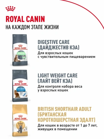 Сухой корм Royal Canin British Shorthair Kitten для котят породы британская короткошерстная, 400 г фото 8