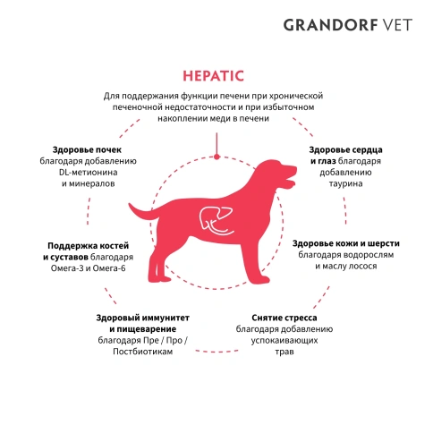 Сухой корм Grandorf Veterinary Diet Hepatic индейка для собак для поддержки функций печени, 1 кг фото 2