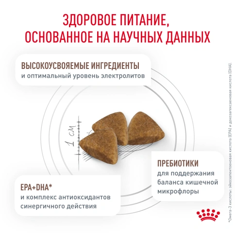 Сухой Корм Royal Canin  GASTROINTESTINAL ДИЕТА ДЛЯ КОШЕК ПРИ РАССТРОЙСТВАХ ПИЩЕВАРЕНИЯ, 2 кг фото 2