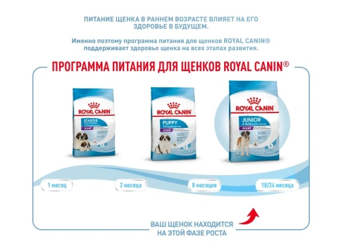 Сухой корм Royal Canin Giant Junior для щенков, 3.5 кг фото 15