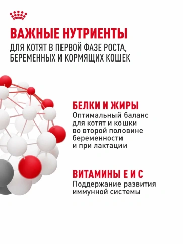 Сухой корм Royal Canin Mother & Babycat для котят в возрасте до 4 месяцев и кошек в период беременности и лактации, 10 кг фото 5