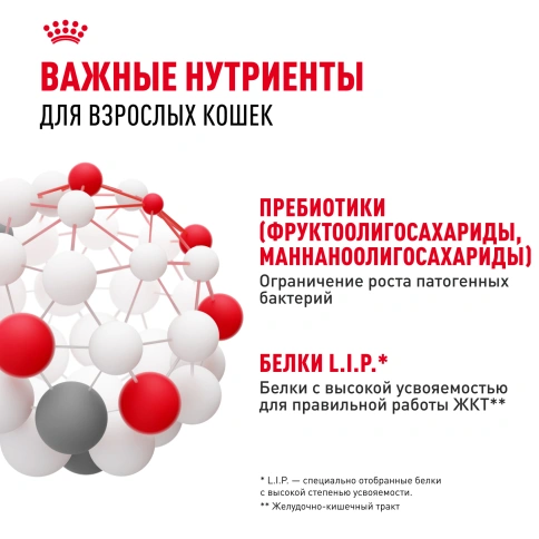 Сухой Корм Royal Canin DIGESTIVE CARE (ДАЙДЖЕСТИВ КЭА)Питание для кошек в возрасте от 1 года и старше, обеспечивает здоровье кожи, красоту и блеск шерсти после 21 дня кормления, 2 кг фото 5