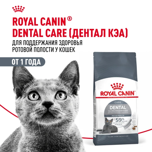 Сухой Корм Royal Canin DENTAL CARE (ДЭНТАЛ КЭА)Питание для кошек в возрасте от 1 года и старше, обеспечивает гигиену полости рта и снижает образование зубного налета на 59 % за 28 дней, 1,5 кг фото 14