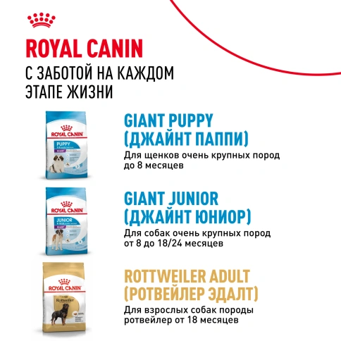 Сухой корм Royal Canin Giant Adult для собак, 4 кг фото 9